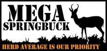 Mega Springbuck